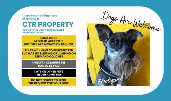 La Lampara Sea View Terrace Apartment image 26